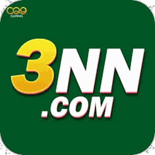 3NN
